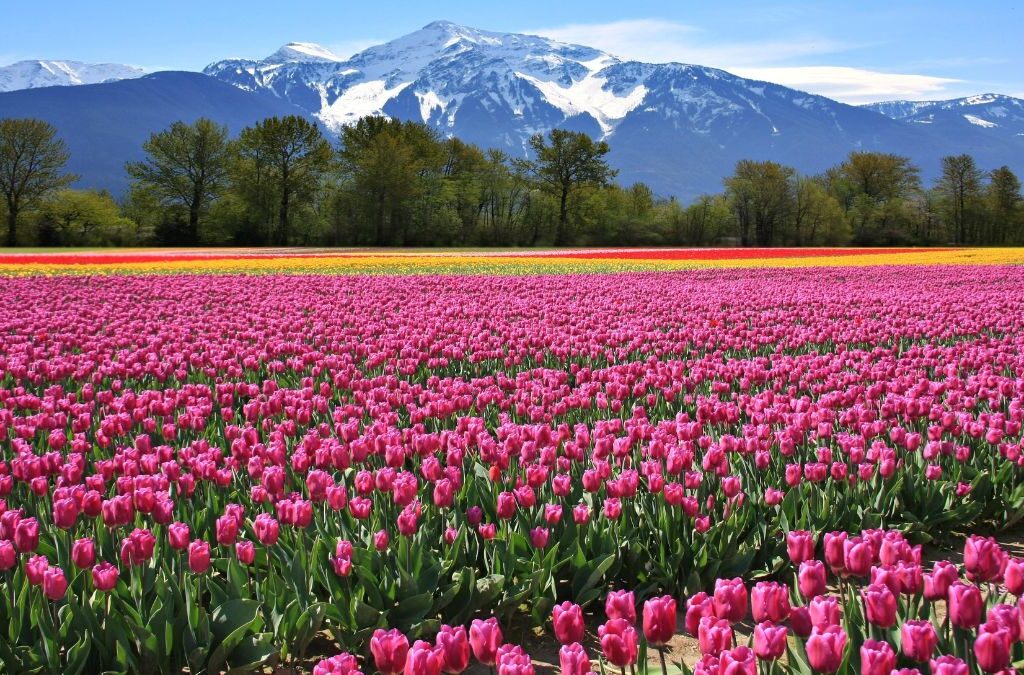 PTPCTourism PTPC Tourism PakistanPTPC Pakistan PTPC Pakistan Tourism Promotion Council Pakistan Tourism