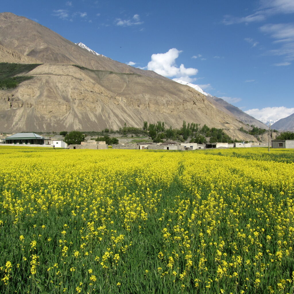 PTPCTourism PTPC Tourism PakistanPTPC Pakistan PTPC Pakistan Tourism Promotion Council Pakistan Tourism