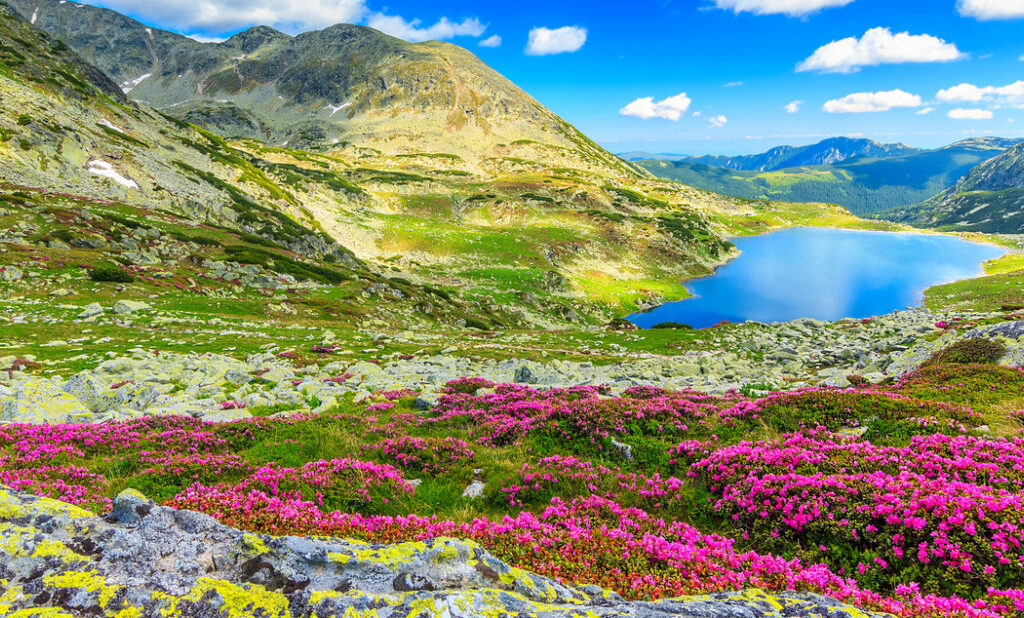 PTPCTourism PTPC Tourism PakistanPTPC Pakistan PTPC Pakistan Tourism Promotion Council Pakistan Tourism