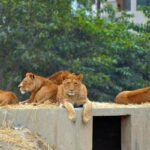 Pakistan tourism punjab tourism department tourism department punjab tourism travel pakistan for tourists pakistan tour tour pakistan pakistan tourists tourism website in pakistan