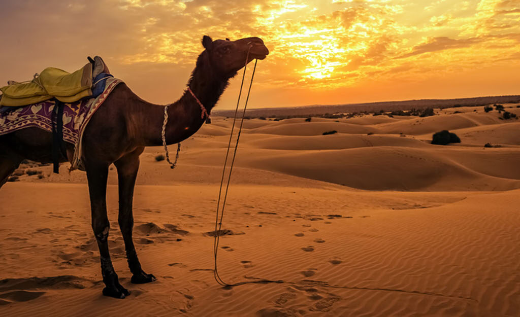 Pakistan tourism punjab tourism department tourism department punjab tourism travel pakistan for tourists pakistan tour tour pakistan pakistan tourists tourism website in pakistan